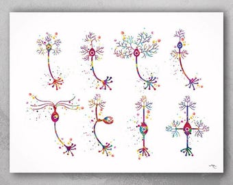 Neuron Watercolor Art Print, Brain Anatomy, Neurology Gift-183