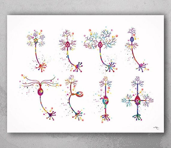 Neuron Watercolor Art Print, Brain Anatomy, Neurology Gift-183
