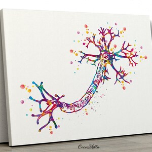 Nerve Cell Watercolor Print Science Poster Neurology Art Nerve Cell ...