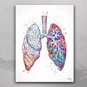 Lungs Anatomy Watercolor Print Decor Medical Art Print Science Breathe Poster Medicine Pulmonologist Doctor Clinic Decor Wall Hanging-1017
