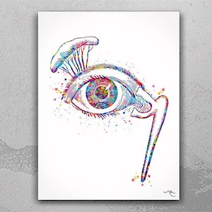 Eye Tear Gland Watercolor Print Eye Anatomy Lachrymal Gland of Eye Optometrist Gift Medical Art Ophthalmology Eye Clinic Wall Art Decor-2477