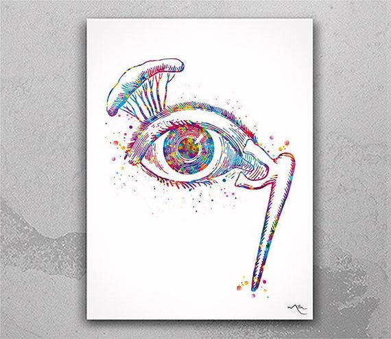 Eye Anatomy Watercolor Print, Optometrist Gift, Ophthalmology Art-2477