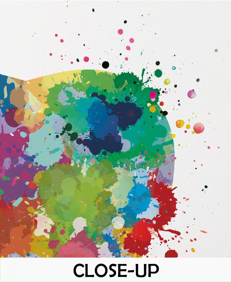 May include: Close-up of a colorful abstract design with paint splatters in various colors, including green, blue, red, and yellow. The word "CLOSE-UP" is at the bottom in a bold, black font.