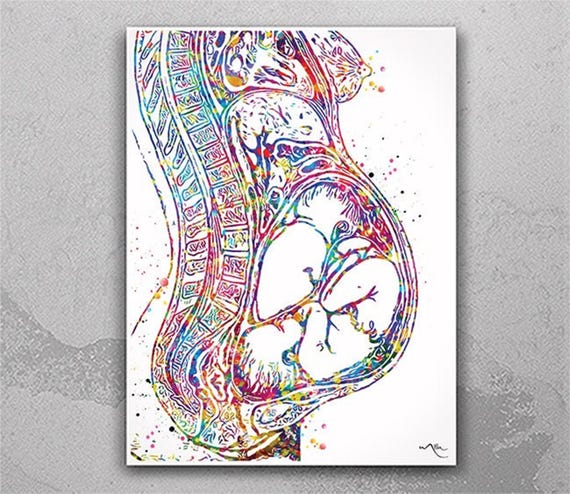 Twin Pregnancy Watercolor Print: Womb Anatomy Medical Art