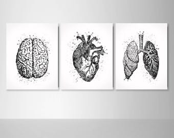 Anatomical Watercolor Print Set: Brain, Heart, Lungs-2341