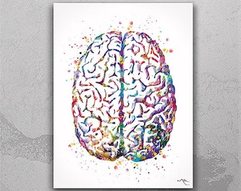 Brain Anatomy Watercolor Print – Medical Neurology Art-971