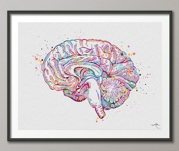 Brain Circuit Watercolor Print Medical Art Science Art Geek Neurologist Clinic