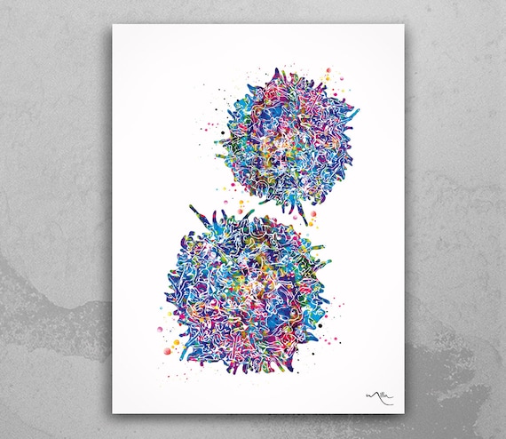 T-Cells Watercolor Print, Immunology Science Art-1473