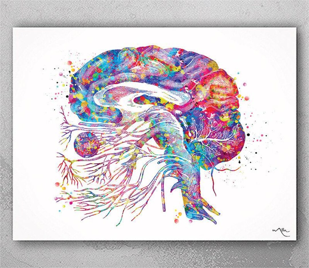 Brain Cranial Nerves Watercolor Print, Neurology Art-173 - Etsy