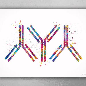 Antibody Watercolor Print Antibodies Medical Art immunology Nurse Practitioner Medicine immune system IgG CANVAS Doctor Office Clinic-1292