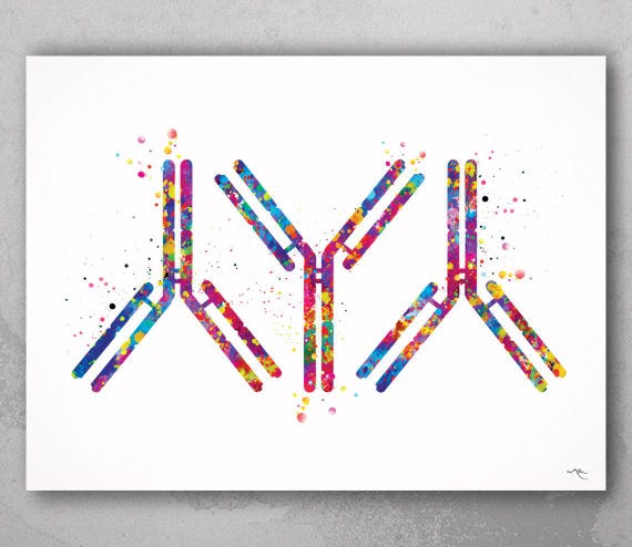 Antibody Watercolor Print, Immunology Medical Art-1292