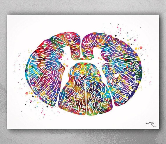 Thoracic Dorsal Spinal Cord Watercolor Print Medical Art Neurology Neurosurgeon Art Neurologist Wall Hanging Doctor Clinic Office Decor-1232
