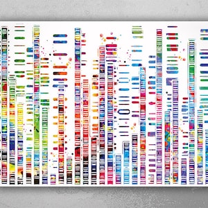 DNA Sequence Art Watercolor Print DNA Molecule Genome Medical Wall Art Science Genetic Doctor Office Clinic Laboratory Biology Decor-2568