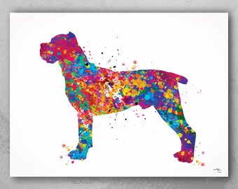 Cane Corso Watercolor Print Cane Corso Art Print Poster Dog Breed Gift Pet Dog Love Puppy Friend Animal Dog Poster Custom Pet Portrait-1188