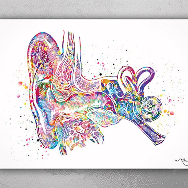 Ear Anatomy Watercolor Print Audiologist Gift Audiology Poster Science Art Ear Diagram Ear Poster Anatomical Office Decor Medical Art-1138