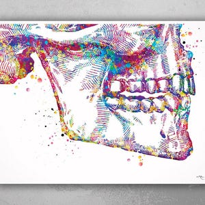 Tooth Anatomy Watercolor Print Teeth Anatomy Art Vintage Art Dental Clinic Decor Art Dentistry Student Surgery Dentist Gift Doctor Art-570