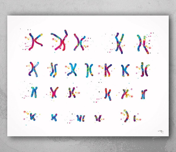 Down Syndrome Karyotype Watercolor Print - Medical Genetics Art-73