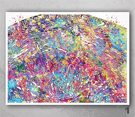 Uterus Histology Watercolor Print - Gynecologist OBGYN Medical Art-491