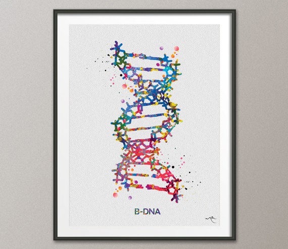 DNA Helix Watercolor Print Biology Science Art Genetic Art Medical Art Poster
