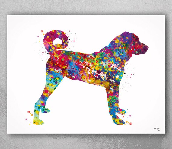 Kangal Dog Watercolor Print – Anatolian Shepherd, Turkish Dog Art-850