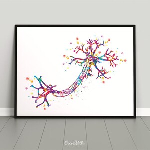Nerve Cell Watercolor Print Science Poster Neurology Art Nerve Cell ...
