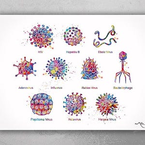 Può includere: Una stampa ad acquerello con illustrazioni colorate di vari virus, tra cui HIV, Epatite B e Virus Ebola. Ogni virus è etichettato con il suo nome in un carattere chiaro. L'opera d'arte è su sfondo bianco.