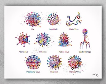 May include: A watercolor print featuring colorful illustrations of various viruses, including HIV, Hepatitis B, and Ebola Virus. Each virus is labeled with its name in a clean, modern font. The artwork is on a white background.