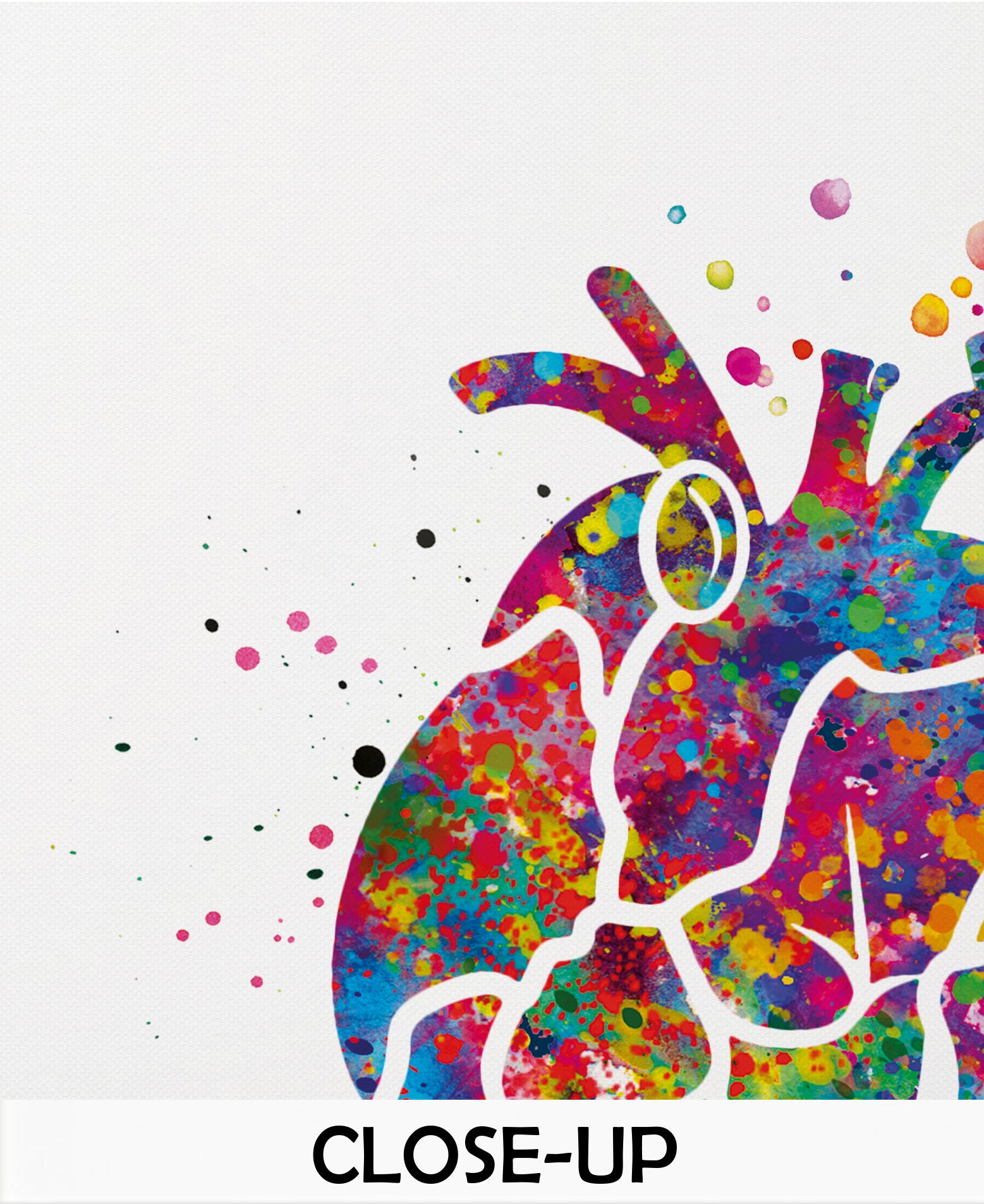 Wall Hangings Heart Health Watercolor Print Medical Art Anatomy ...