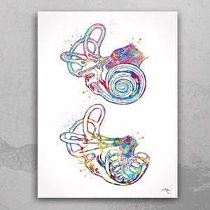 Cochlea of Inner Ear Anatomy Watercolor Print Audiologist Gift Audiology Art Science Art Ear Diagram Clinic Decor Vestibule Medical Art-1085