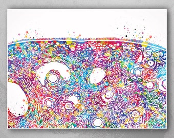 Ovary Cross Section Watercolor Print, Gynecology Medical Art-628