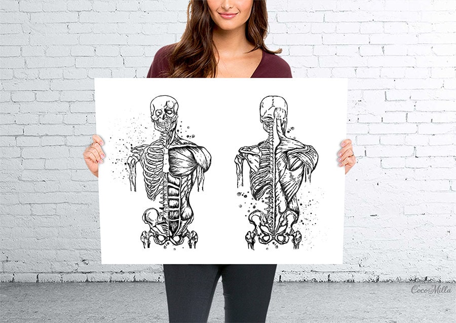 Muscular Art Watercolor Print Human Body Anatomy Art Medical - Etsy UK