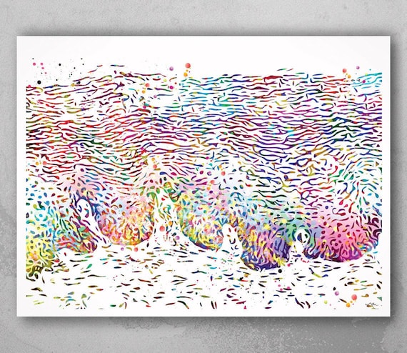 Cervical Histology Watercolor Print, Anatomy Art-732