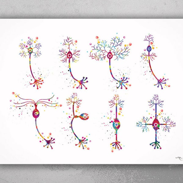 Neurons Art Watercolor Print Motor Pyramidal Purkinje Neuron Cell Neurology Medical Art Brain Anatomy Neuroscience Neurologist Clinic-183