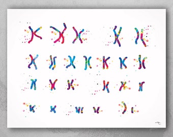 Male Chromosome Down Syndrome Watercolor Print Karyotype 21st Chromosome Medical Art Decor Wall Art Nurse Gift Laboratory Science Genetic-73
