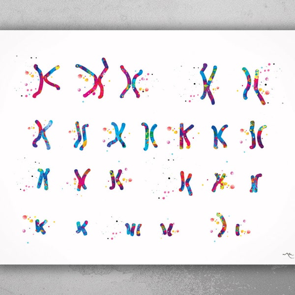 Male Chromosome Down Syndrome Watercolor Print Karyotype 21st Chromosome Medical Art Decor Wall Art Nurse Gift Laboratory Science Genetic-73