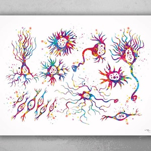 Neuron Types Watercolor Print Medical Art Medical Cabinet Purkinje Cell Neurology Brain anatomy Neuroscience Neurologist Office Decor-174