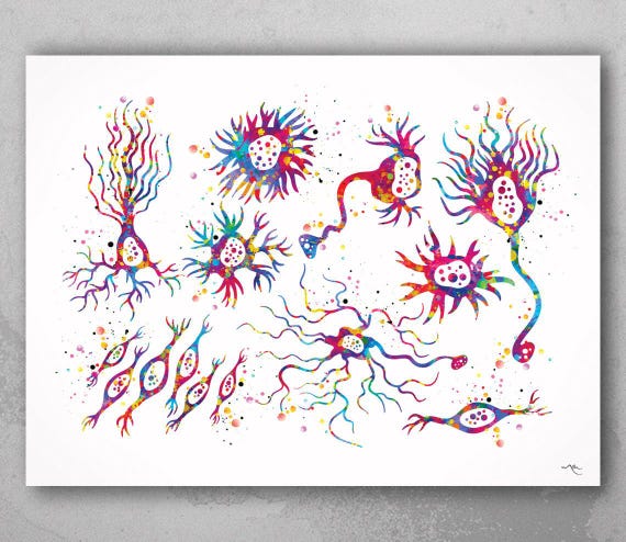 Neuron Types Watercolor Print, Medical Neurology Brain Art-174