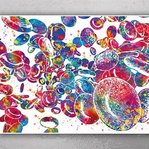 Red Blood Cells Watercolor Print Blood Histology Science Haematology Medical Art Haematologist Wall Art Office Laboratory Clinic Decor-2375