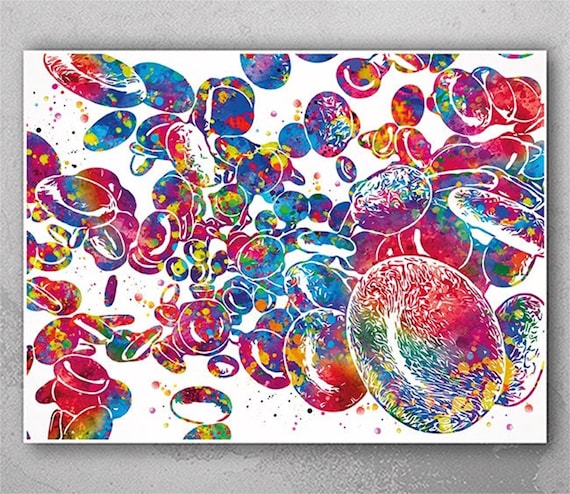 Red Blood Cells Watercolor Print, Haematology Science Art-2375