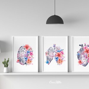 Human Brain Heart Lungs Set of 3 Watercolor Prints Medicine Nurse ...