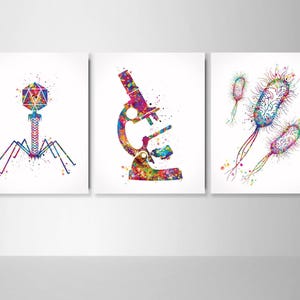 May include: A set of three colorful watercolor illustrations of scientific objects. The first image shows a bacteriophage, the second shows a microscope, and the third shows bacteria.