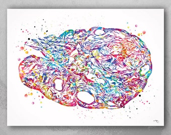 Ovary Watercolor Print | Gynecology Anatomy Art-318