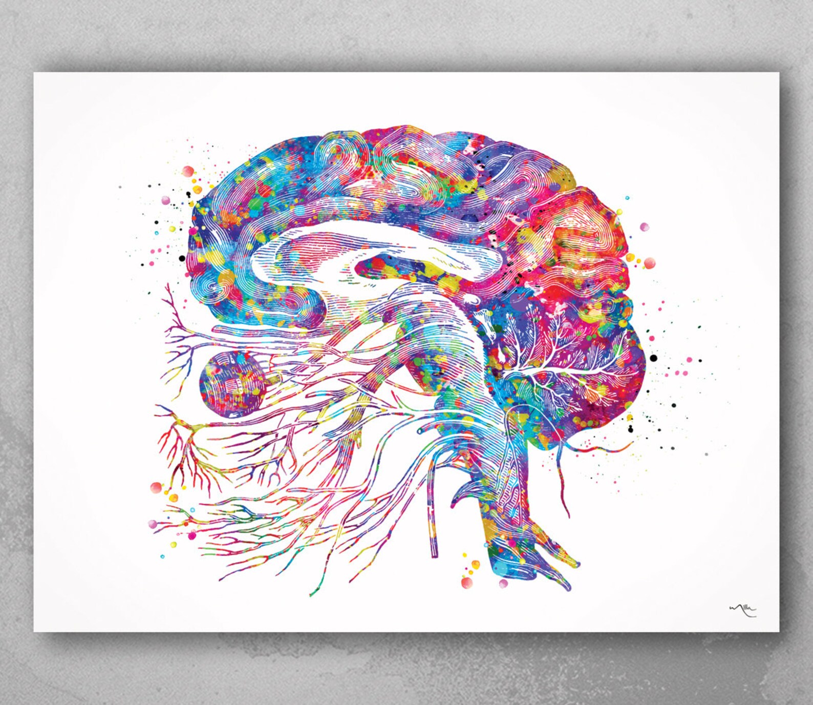 Brain Cranial Nerves Watercolor Print Medical Art Cabinet | Etsy
