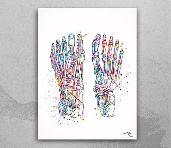 Foot Anatomy Watercolor Print, Skeletal Feet Medical Art-717