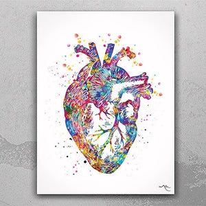 Heart Anatomy Watercolor Print Cardiology Decor Medical Art Print Science Art Print Laboratory Wall Decor Doctor Print Nerd Wall Hanging-969