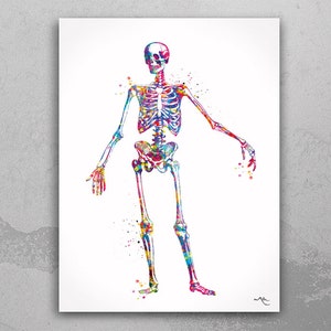 Menschliches Skelett Anatomie Aquarell Druck Medizinische Kunst Wissenschaft Kunst Graduierung Geschenk Anatomie menschlicher Schädel Krankenschwester Wissenschaft Poster Skeleton Print-977