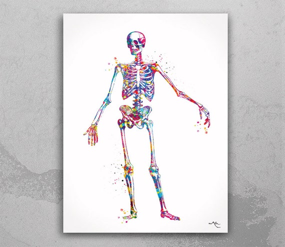 Watercolor Human Skeleton Print, Anatomy Art-977