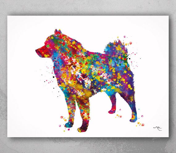Schipperke Dog Watercolor Print, Colorful Pet Portrait-1954