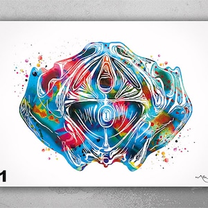 Pelvic Floor Anatomy Watercolor Print Obstetric Doctor Obstetrician Nursing Midwife OBGYN Decor Clinic Doctor Gift Physiotherapist-2648