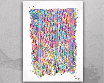 Puede incluir: Una pintura acuarela colorida de una sección transversal de un músculo. Las fibras musculares se muestran en detalle, con una variedad de colores utilizados para representar los diferentes tipos de fibras.